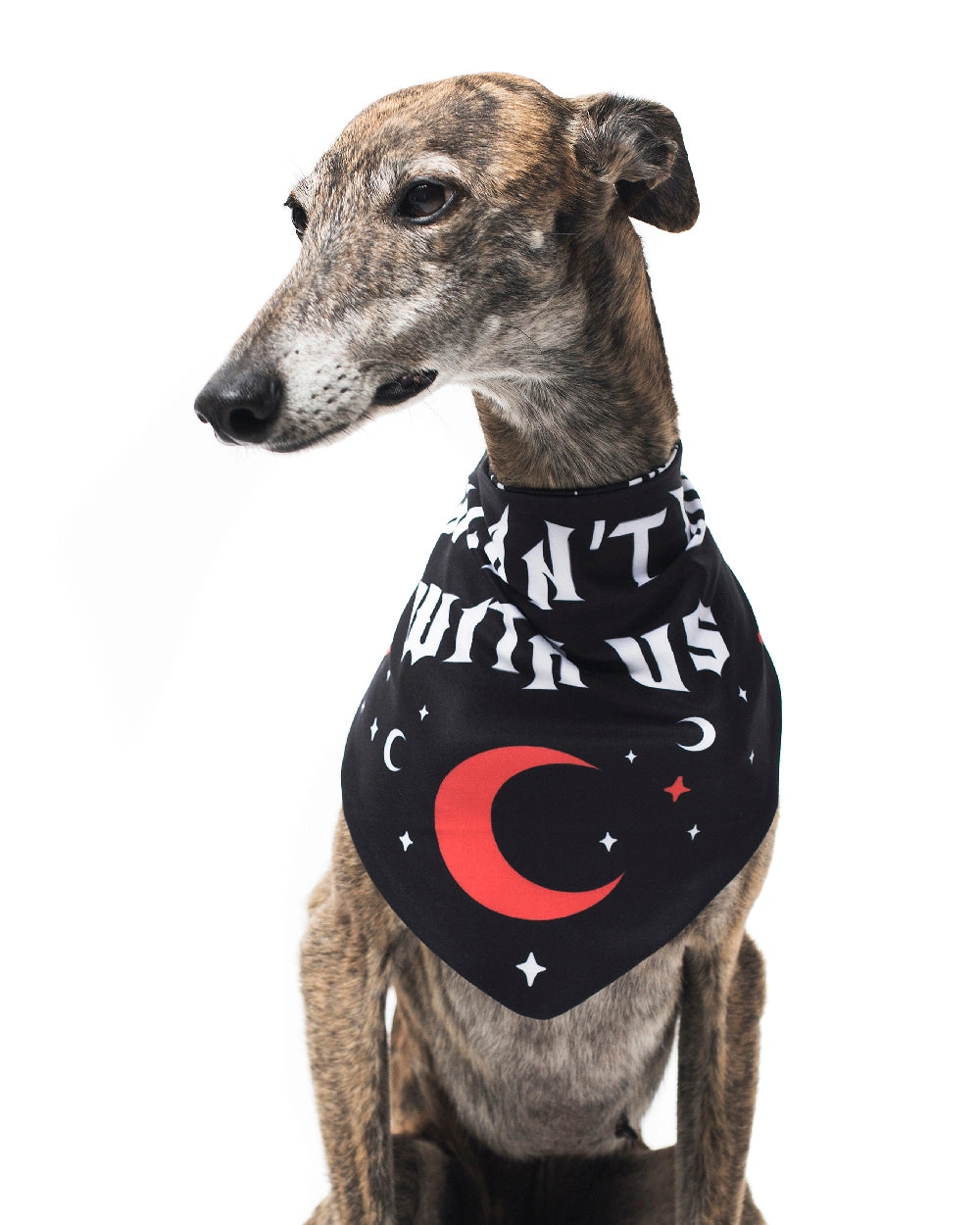 Mit uns gräbt niemand! Hunde- und Katzen-Bandana: Dein Vierbeiner, deine Gang, dein Style.